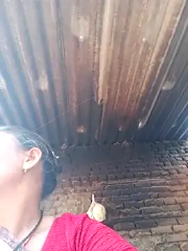 Hg_janeman's cam snapshot