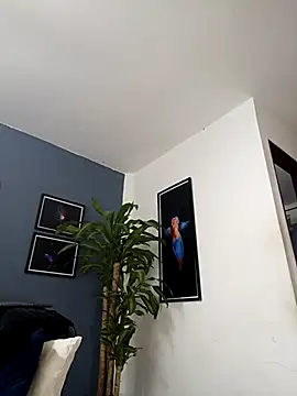 SilvaBranko live sex cam