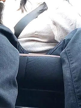 QueenHaryanaa's cam snapshot