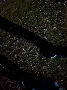 Labellasex live sex cam