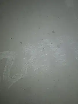 triplebeast live sex cam