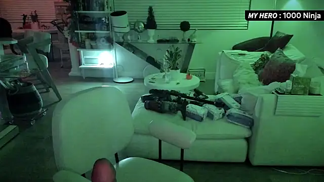 Vesaaa's cam snapshot