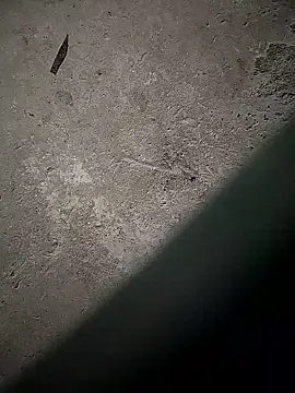 sexy__girls98's cam snapshot