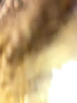 Iam-Sharifa live sex cam