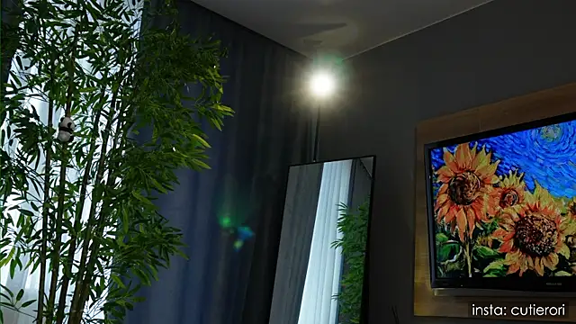 cutierori's cam snapshot