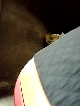 Sinejdk3's cam snapshot