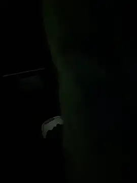 dingoding live sex cam