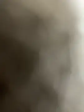 dilscar live sex cam