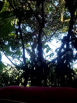 Many_lize live sex cam