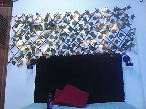 vchelsietaylorper's cam snapshot