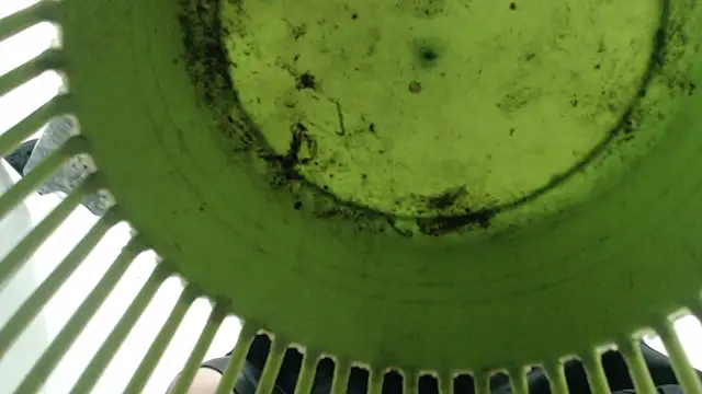 Thomasjons_'s cam snapshot