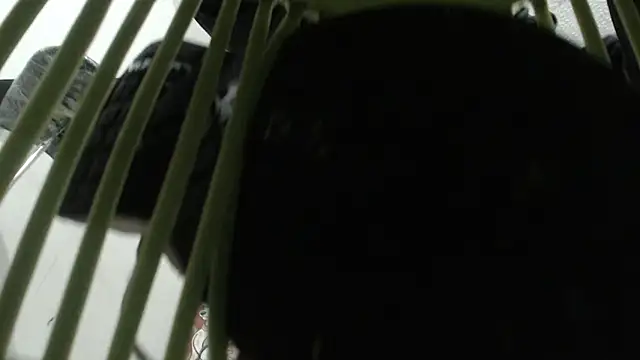 Thomasjons_'s cam snapshot