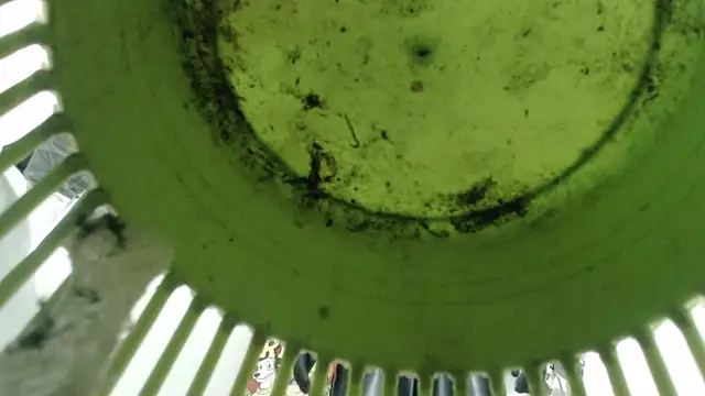 Thomasjons_ live sex cam