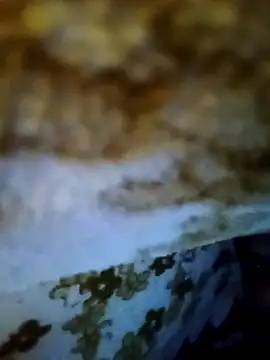 alone_boy802's cam snapshot