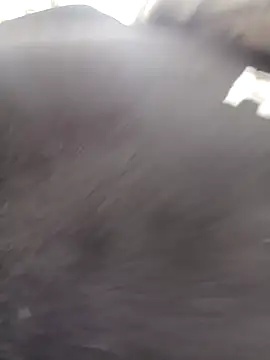 bella-la's cam snapshot