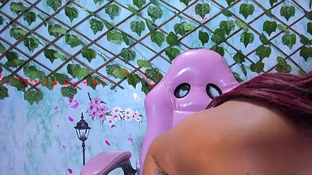 Pamesmith's cam snapshot