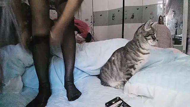 hebe-02's cam snapshot