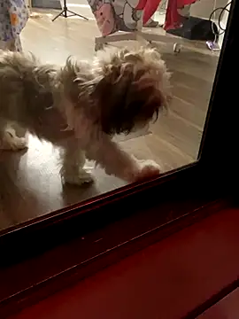 SafeinouterSpace's cam snapshot