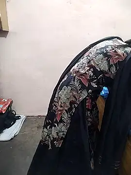 meenu_bhabhi547's cam snapshot