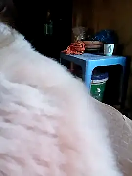 Melylyna's cam snapshot