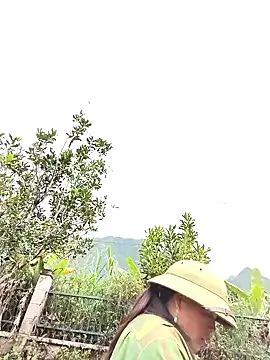 let-go's cam snapshot