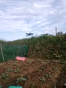 Meomeo-meo's cam snapshot