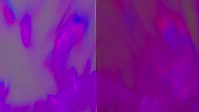 Emily_Sheen's cam snapshot