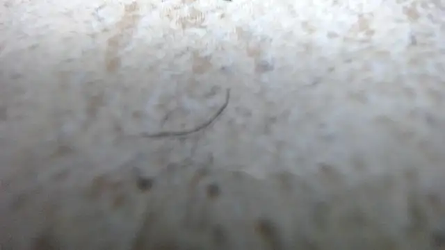 Aliis_Love's cam snapshot