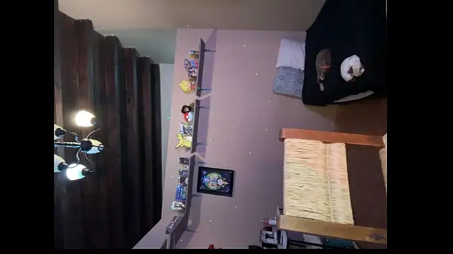 kittycat202501's cam snapshot