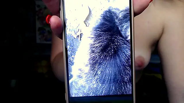 Darina_M_ live sex cam