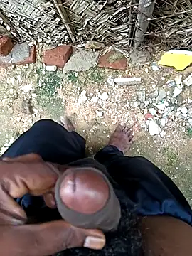 dolphiinn's cam snapshot