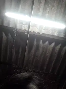 HotSexyBoudi live sex cam