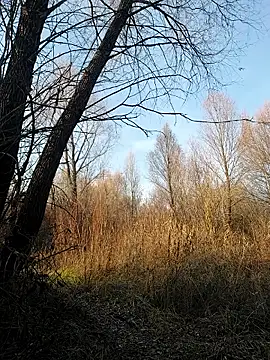 Crazy_lady69's cam snapshot