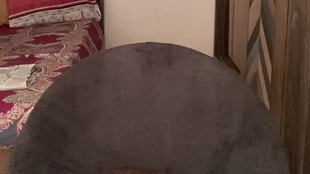 MakeMeAwareAah's cam snapshot