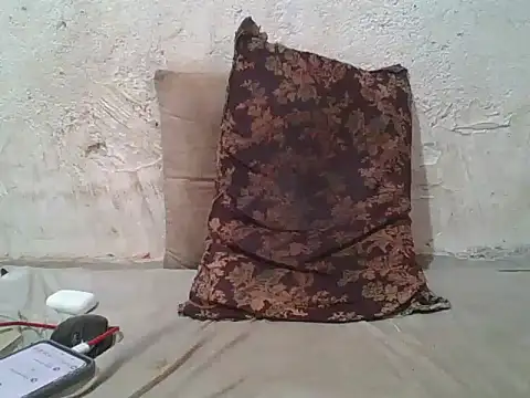 wildfox566 live sex cam