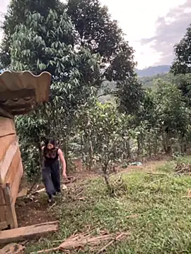 ThiHa003's cam snapshot