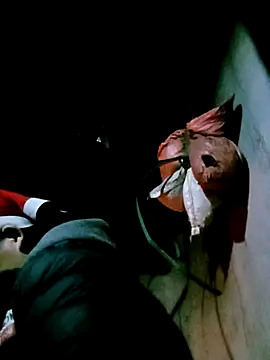 bae-bae's cam snapshot