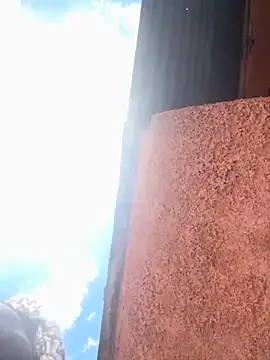 houseforsex live sex cam