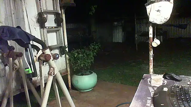 herbie010666 live sex cam