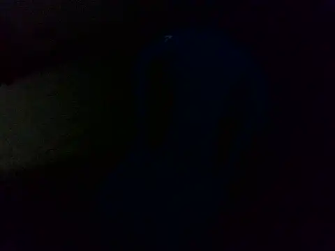 ClinkingTwirp's cam snapshot