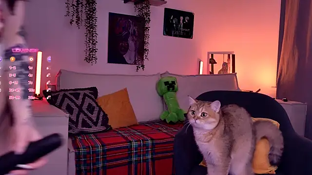 Lollyshy live sex cam