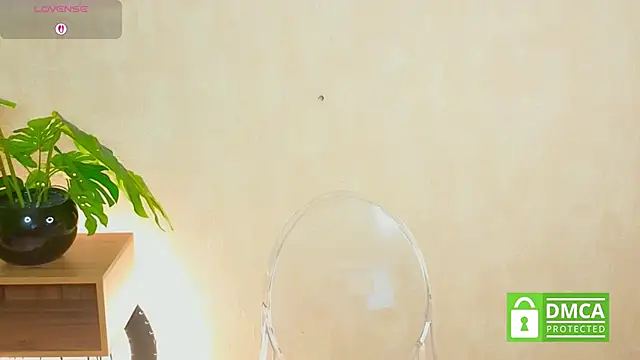 sophiaxoxo's cam snapshot