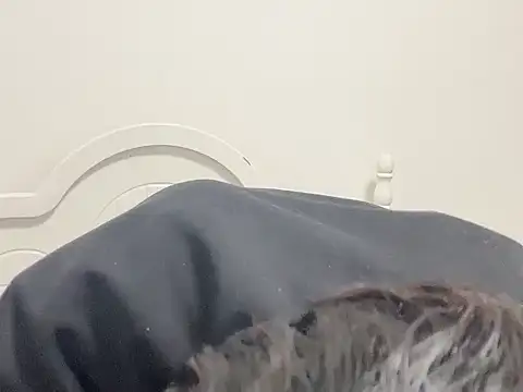 feifei2563 live sex cam