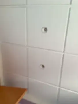 Wildmaca's cam snapshot