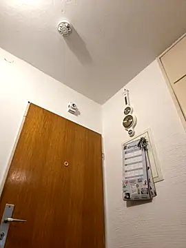 Toyjungee live sex cam