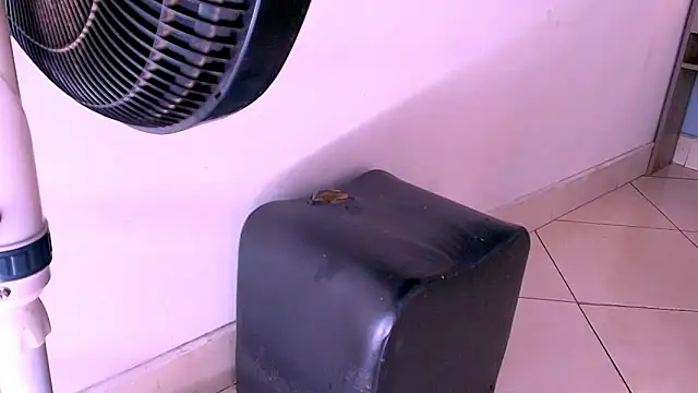 Emily_Castillo_1 live sex cam