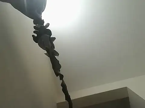 banglore_callboy_whatsapp live sex cam