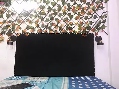 vhannaper's cam snapshot