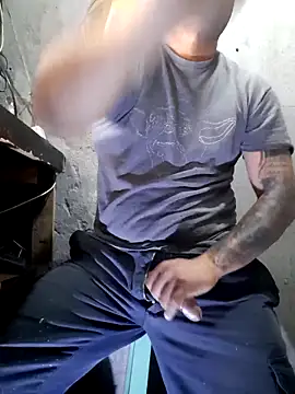 hecwil8 live sex cam