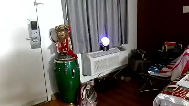 ibPMS's cam snapshot